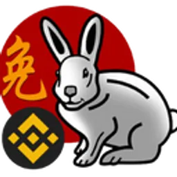 BNB RABBIT BSC