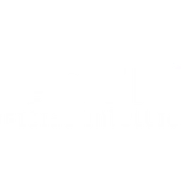 Central AI